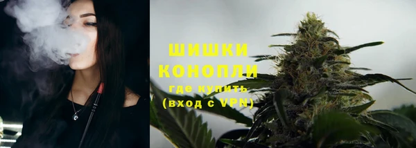 ПСИЛОЦИБИНОВЫЕ ГРИБЫ Абаза