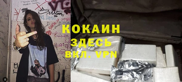 дживик Алзамай