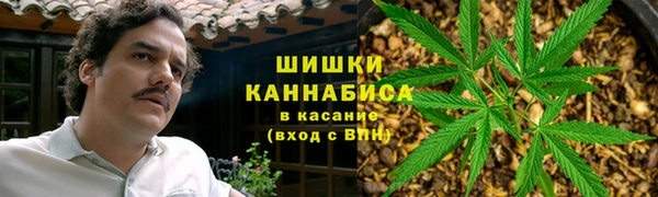 крисы Абдулино